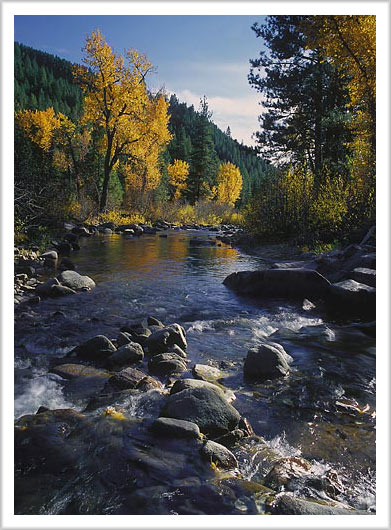 Fall Colors on Grime's Creek