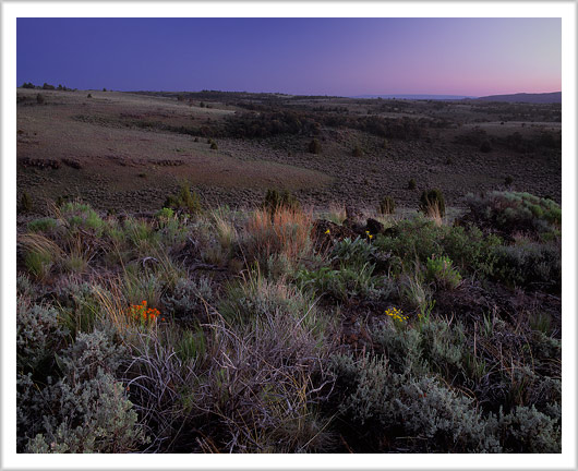 Earling Evening Idaho Desert