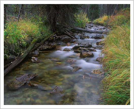 Iron Creek in Fall Season