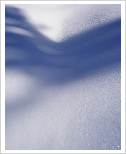 Snow and Shadow
