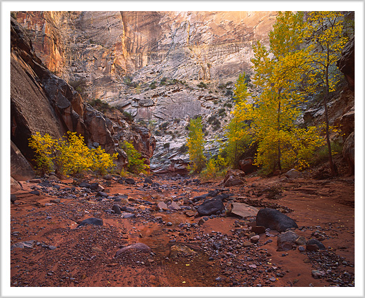 Fall colors of Spring Canyon, Utah - October 2012